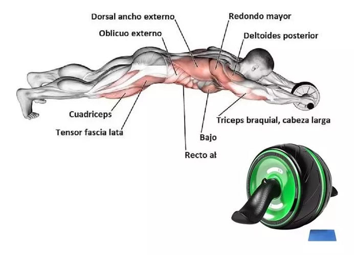 Rueda Ejercicios Abdominales