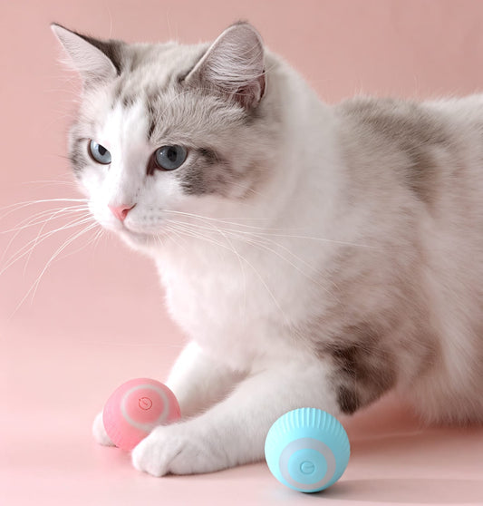 Pelota Interactiva Para Gatos celeste